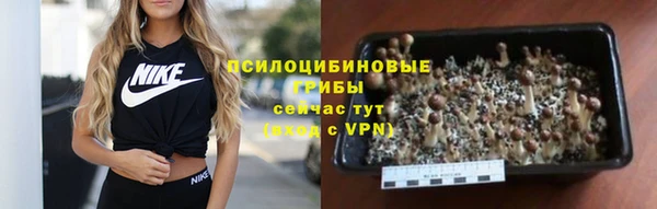 ПСИЛОЦИБИНОВЫЕ ГРИБЫ Волоколамск