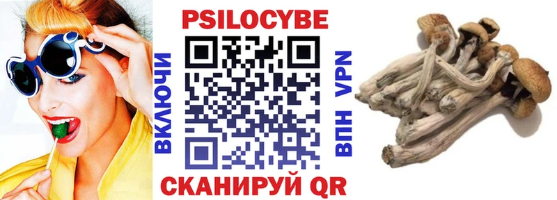 hydra ссылки Мариинск Псилоцибиновые грибы Cubensis