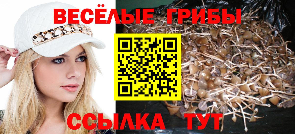 Галлюциногенные грибы мухоморы Мариинск